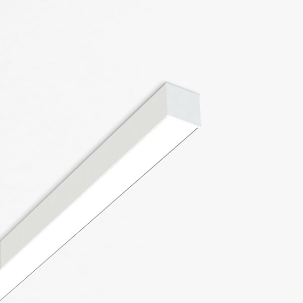 File 30 Ceiling